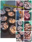 포항뉴대양호의 불볼락(열기) 신항만 <=>축산라인 대박조행기 월화 달려요