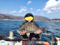 남해 상주,미조 감성돔 흘림선상 매일ㄷㄷㄷ