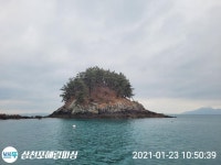 ((해림2호)) 사량도 감성돔 조황 내일도 출항