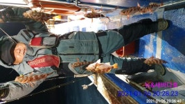 거제 새바다호 야간 왕열기 밤10경 쿨러만땅 조기철