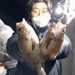 (南)남해조황 - 통영유림)오늘 4시30분 밤뽈락출조합니다.예약가능