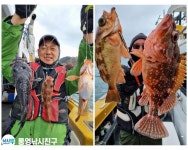 (南)남해조황 - 통영낚시친구)~오랜만에 열기쏨뱅어 출조다녀왔습니다