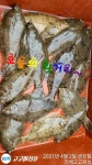 (南)남해조황 - 4/2일 전원 쌍걸이~130수이상!! 예약중