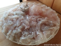 (南)남해조황 - 봄도다리 초비상!!! 장원43수, 2등40수, 3등22수, 만루홈런!!!