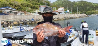 풍화리경신호 참돔조황