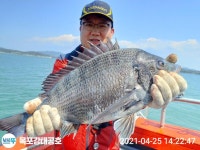 서원레저(주)1호공 | (西)서해조황 - 25일 강태공1호 감성돔낚시입니다