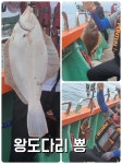 도다리 참소주아니고 참가자미! 오늘편! 금 토 일 나갑니다~♡ 뉴대양호