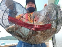 녹동대성호, 첫출조 문어/ 시작이 좋습니다~^^