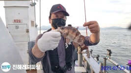 (南)남해조황 - 주간/야간 백조기 씨알좋고 마릿수좋고 손맛좋고