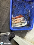 (南)남해조황 - 통영유림))먹물폭탄 왕한치 피팅다임 미친듯이~~금예약가