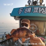 (東)동해조황 - 동해피싱ㅡ볼락루어캐스팅게임,대박조황