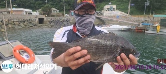 (南)남해조황 - 풍화현대레저)44감성돔외마릿수조황