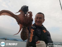 돌문어 계속 쪼삣하게 주야장창 달립니다!!