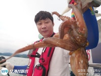 돌문어 계속 쪼삣하게 주야장창 달립니다!!