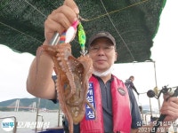 돌문어 계속 쪼삣하게 주야장창 달립니다!!