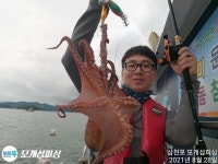 돌문어 계속 쪼삣하게 주야장창 달립니다!!