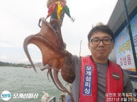 돌문어 계속 쪼삣하게 주야장창 달립니다!!