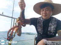 돌문어 계속 쪼삣하게 주야장창 달립니다!!