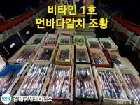 비타민 1호,2호 먼바다갈치 씨알굿~쿨러 도창까지~월~