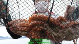 (南)남해조황 - ~~금일 연이어 돌돌돌 문어 갑질합니다