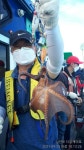 (南)남해조황 - 삼천포 갑돌이문어조황! 주간반,오후/야간반 매일출조!