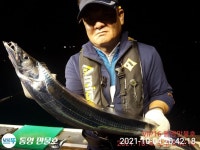 ☆(이벤트)VIP만물호 대마골 왕갈치 찐찐찐 조황!!