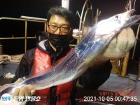 ☆(이벤트)VIP만물호 대마골 왕갈치 찐찐찐 조황!!