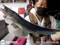 ☆(이벤트)VIP만물호 대마골 왕갈치 찐찐찐 조황!!