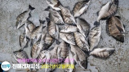 점주 선상조황(2021) 255 페이지 > 인낚ㅣ인터넷바다낚시