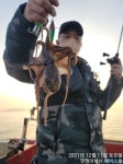 왕오징어/쭈구미~오늘씨알큰놈들로 손맛많이보고!!내일 한자리예약가능