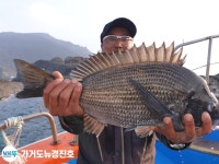 가거도 3구 뉴 경진호