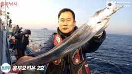 흥부어시장계속고고 대낮부터갈치