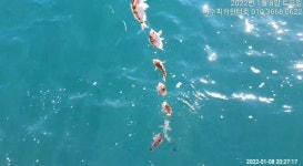 [여수피쉬헌터호] 먼바다 왕열기!!!!