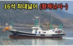 먼바다16석.황제낚시로오징어줄타기시작