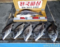 천국피싱~야간흘림4짜외마릿수조황~!