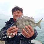 (東)동해조황 - 동해피싱 ㅡ감성돔마릿수&왕사미