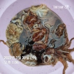 (東)동해조황 - 동해피싱ㅡ도다리와 쭈꾸미