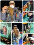 (東)동해조황 - 포항야간왕볼락현상황 내일수요일부터쭉모집중입니다