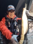 통영유림)실시간 왕 뽈락~~광어63cm는덤.낼예약가능