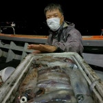 통영유림) 오늘부터 왕갈치/한치 출조합니다.