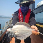 왕도다리.참가자미~~금.토.일 예약중