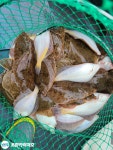 (東)동해조황 - 오후)이른 철수 용왕님!무한 방출 왕도다리~