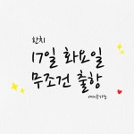 블루마린)한치~~내일 무조건 출항(예약가능)