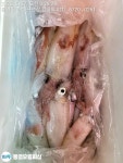 쭈.갑 먹물조황+ - 통영유림)먹물폭탄 한치 50수~~일요일 예약가능