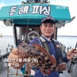 (東)동해조황 - 동해피싱ㅡ호래기및 이전 대박조황들