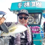 (東)동해조황 - 동해피싱ㅡ호래기및 이전 대박조황들