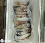 왕한치, 갱구 아부지가 주시는 만큼~