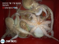 ▪︎진해레전드▪︎돌문어잡고 힐링하고! 《예약가능》