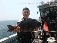 ((한사리))올해는 갈도가 돌돔천국인듯! 휴가철 날씨가 발몪잡습니다!ㅠ(내일 토요일.정상출항~다음주.화요일 출조부터 정상출조 가능할듯!)