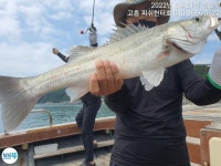 붉바리.농어.우럭.민어 외수질 새우만 들어 가면 입질!!!~~~[고흥피쉬헌터호]